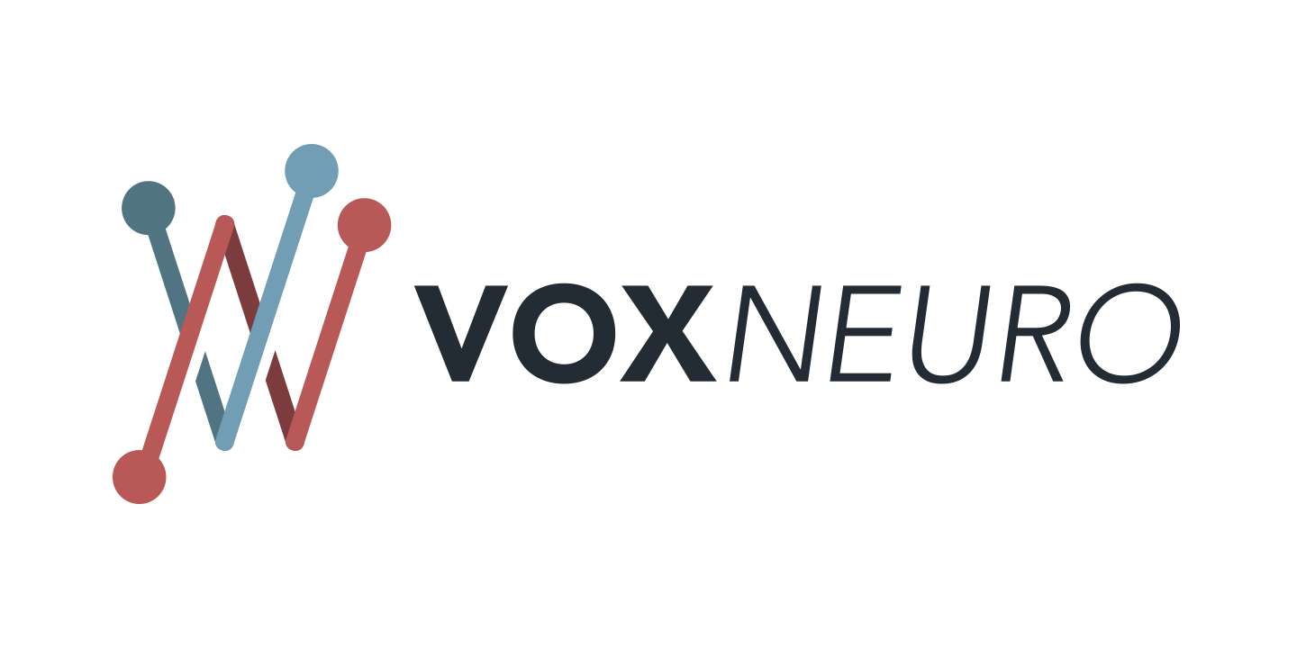 VoxNeuro